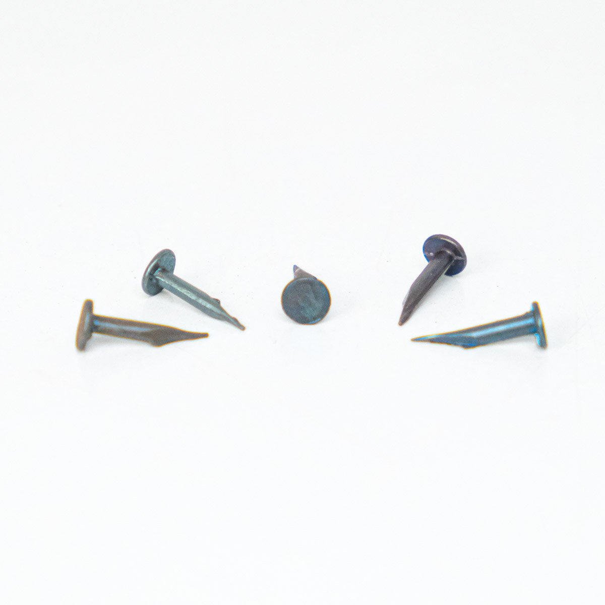 Semences Pique Acier Bleui 14mm - Maison Klem